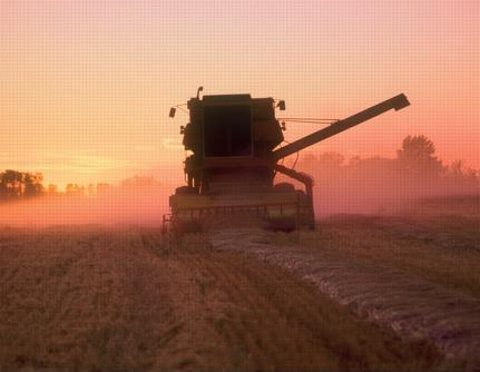 Image of a tractor on farmland