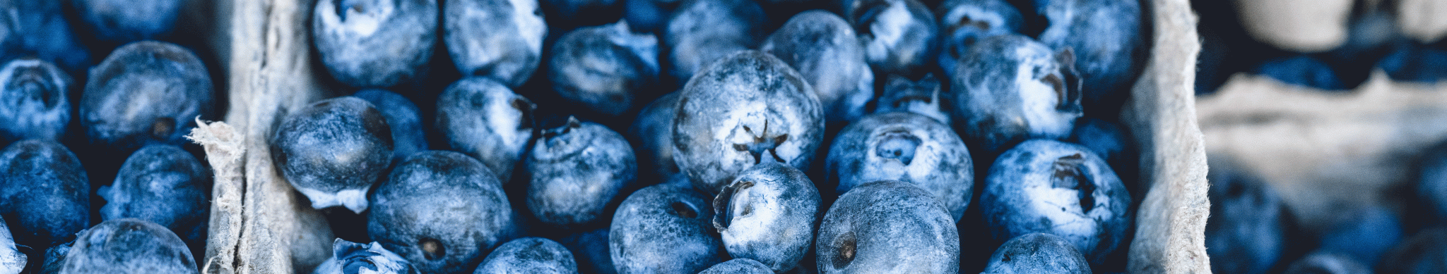 Blue berries.