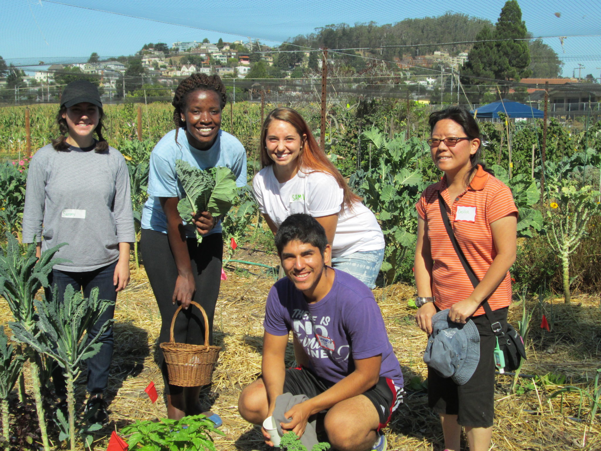Students at the UC Gill Tract Community Farm. Photo by Jennifer Sowerwine.