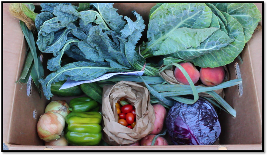 A "Beet Box" CSA delivery.
