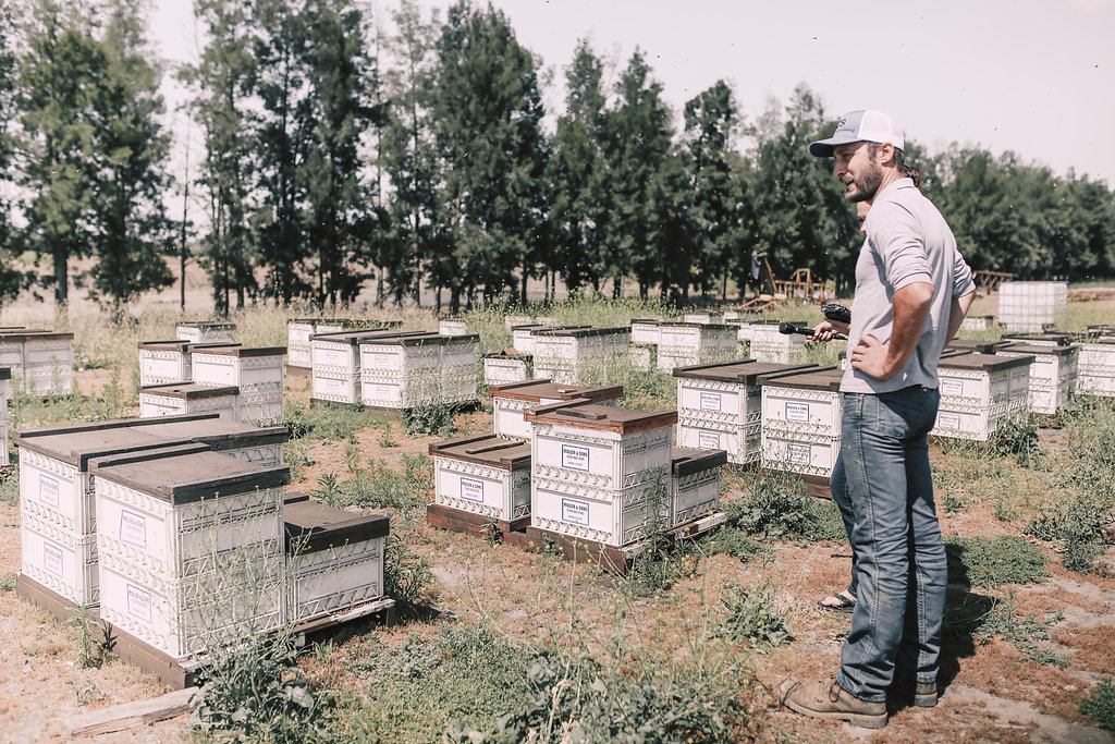 Colin monitoring beehives.