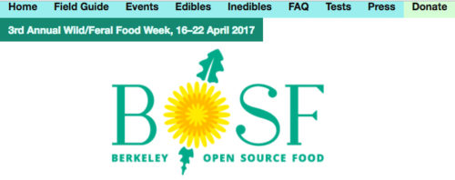 The Berkeley Open Source Food logo as it appears on forage.berkeley.edu