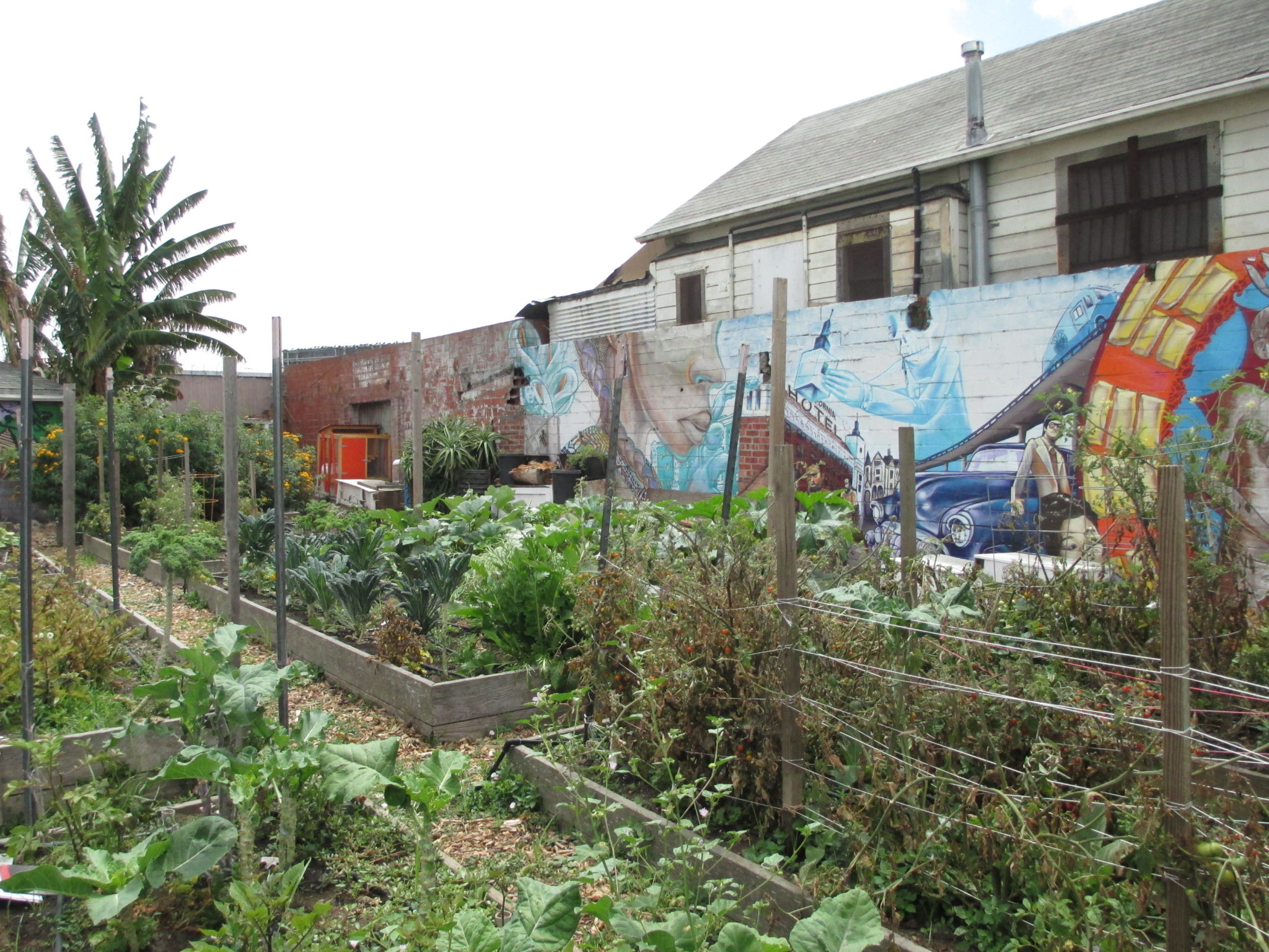 People's Grocery California Hotel Garden. Photo by: Joshua Arnold