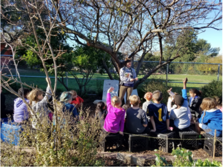 Bridget Grubb, UC Berkeley student intern, leading a Life Lab lesson on the Cycle Story to a 3rd grade garden class. Photo taken by Sarah Winer, Garden Instructor at Thousand Oaks Elementary School in Berkeley Unified School District. To support this growing interest and need for institutionalized food system education, BFI and BUSD worked within our two institutions to create a structure for regularly welcoming UC Berkeley students into our BUSD school gardens and nutrition classrooms. This fall, we successfully placed four UC Berkeley student interns into three BUSD gardens and one nutrition classroom. Instructors guided them as they got a first-hand taste for teaching in a public school garden or nutrition classroom, and practiced connecting with elementary and middle school students over harvesting fresh veggies, turning soil, and making compost piles right in their own Berkeley community. They peered into what it’s like to develop curriculum, plan for family cooking nights, collaborate with teachers, and care for robust school gardens. In exchange, interns were offered mentorship and course credits for the Food System Minor or School of Education field study requirement. After a semester with us, some interns decided that a career in school garden and nutrition education was possibly not for them, but found a deeper interest in other food system work. Many found the community work with kids in gardening and nutrition education to be meaningful ways to spend their time, resulting in more deep thinking about food justice or other community gardening projects. We look forward to welcoming a new cohort of interns into our school gardens and nutrition classrooms in the spring semester, as well as in the following years to come. To learn more and apply, contact Meg Prier, BFI Campus Gardens Coordinator, at megprier@berkeley.edu. Thank you to Megan Panero-Eley, Bridget Grubb, Kathy Lui, and Daisy Schadlich, the UC Berkeley interns who contributed their time and skills to BUSD's Gardening & Cooking Program this fall. 