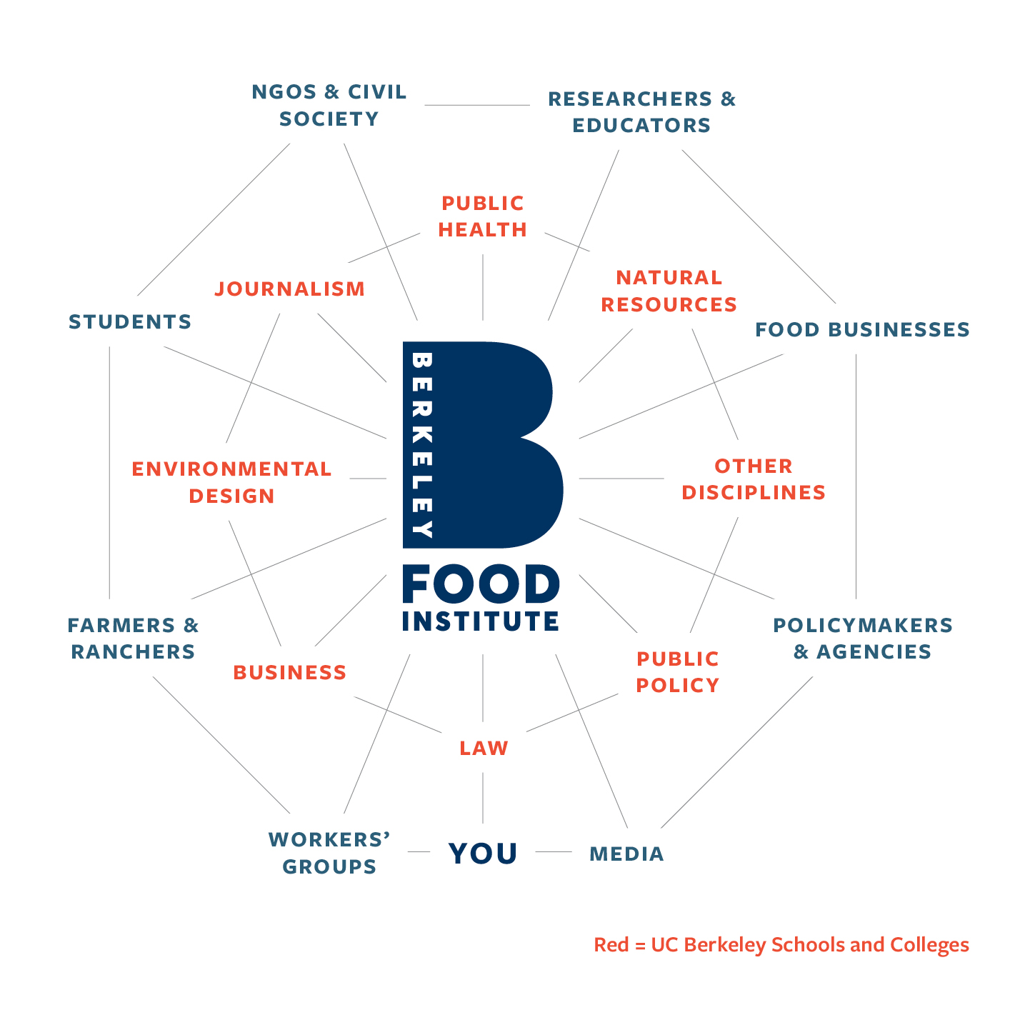 BFI's partner schools and disciplines