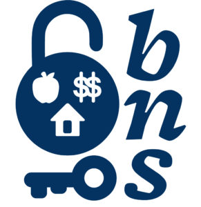 Basic Needs Security Blue Logo with Lock and Key