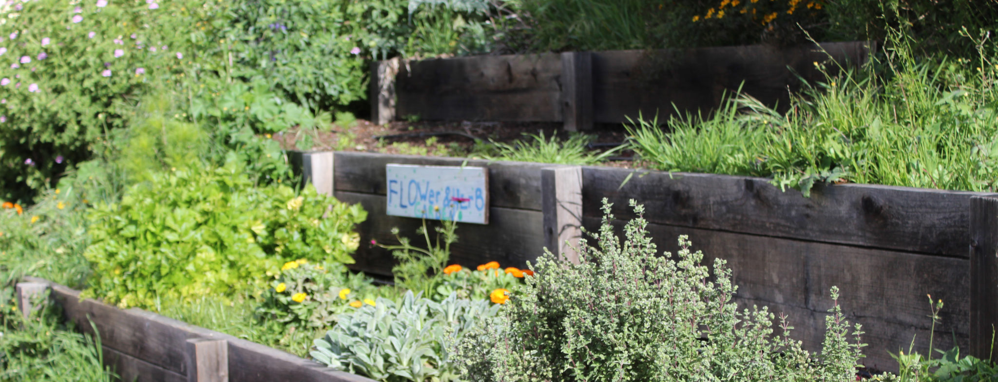 A sign that says "Flowers" in a garden