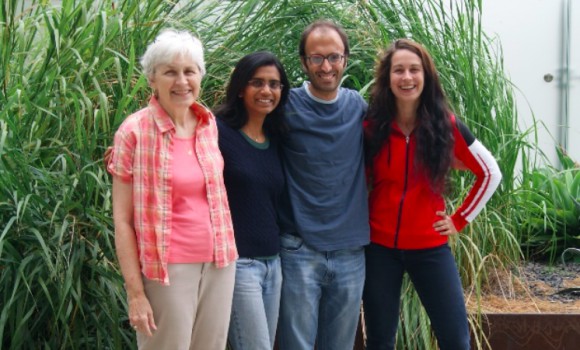 Early Members of The Millet Project posing left to right: Peggy Lemaux, Amrita Hazra, Pedro Goncalves, and Patricia Bubner