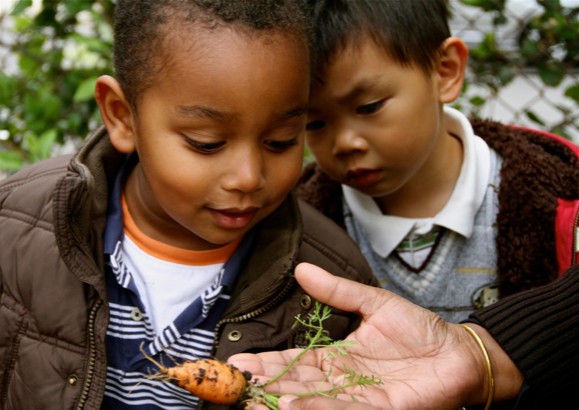 Children study a carrot just pulled from the ground, so they can learn how food really grows.