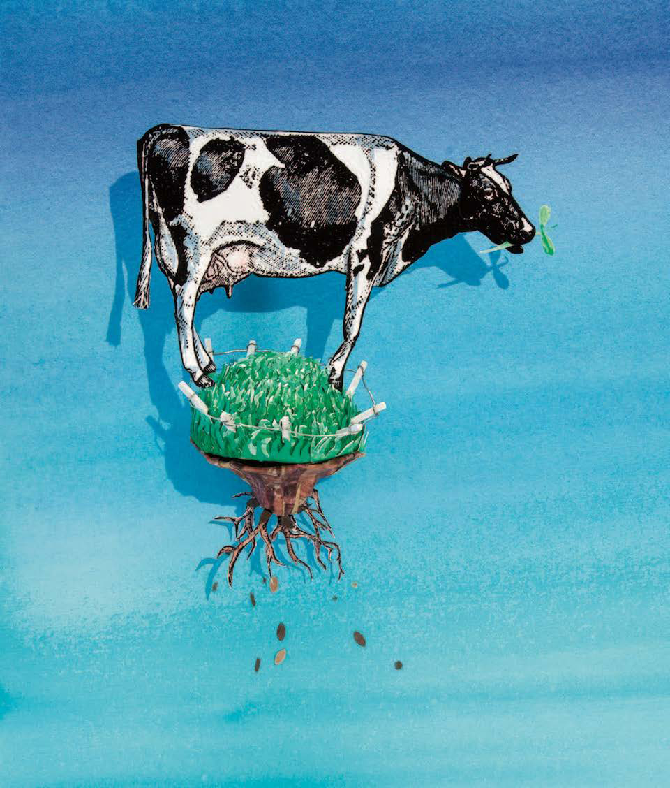 Illustration of a cow standing on small plot of uprooted land. Image by Pushcart.