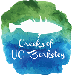 Photo of Strawberry Creek Logo