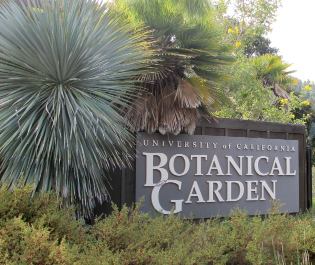Photo of UC Berkeley Botanical Garden Sign