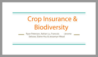 Cover of Crop Insurance and Biodiversity Student Presentation