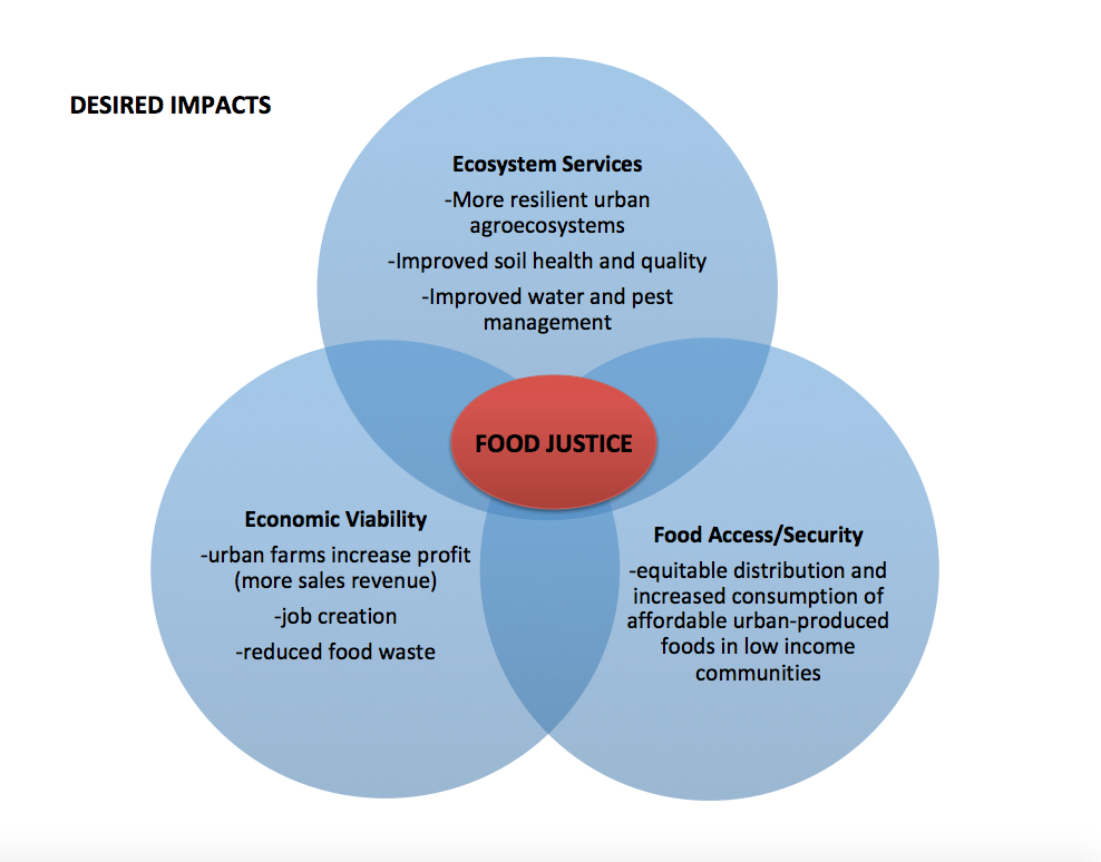 Desired Impacts Graphic