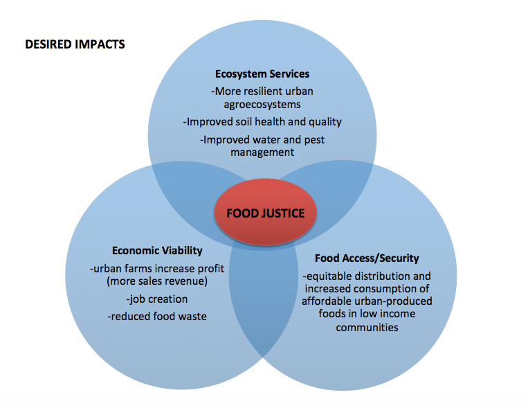 Desired Impacts Graphic