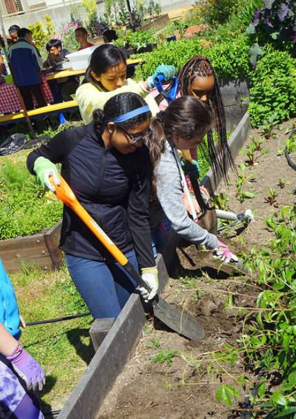 Middle school students dig in, prepping soil for the next season's crops. 