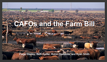 CAFOs and the Farm Bill presentation