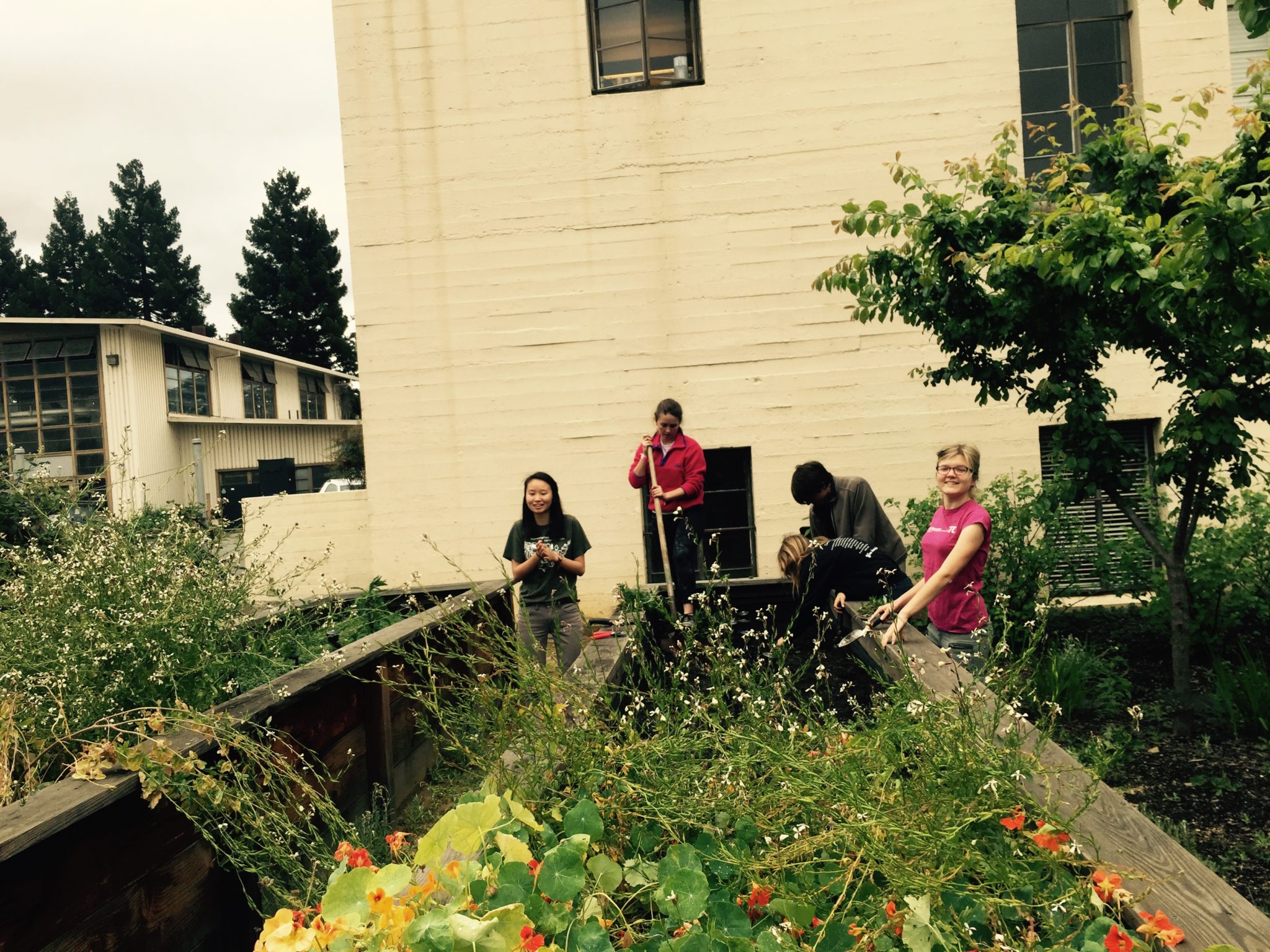 Students at a campus garden.