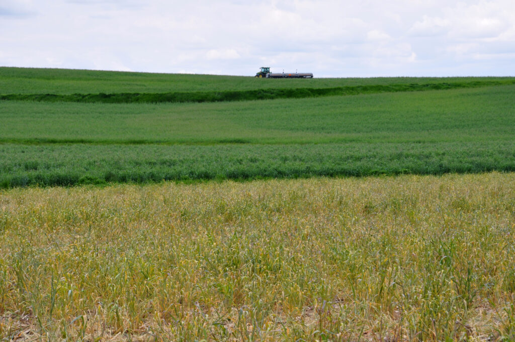 The Dual Benefit Of Cover Cropping Soil Carbon And Increased Crop   34527563294 0e080c8315 O 1024x680 