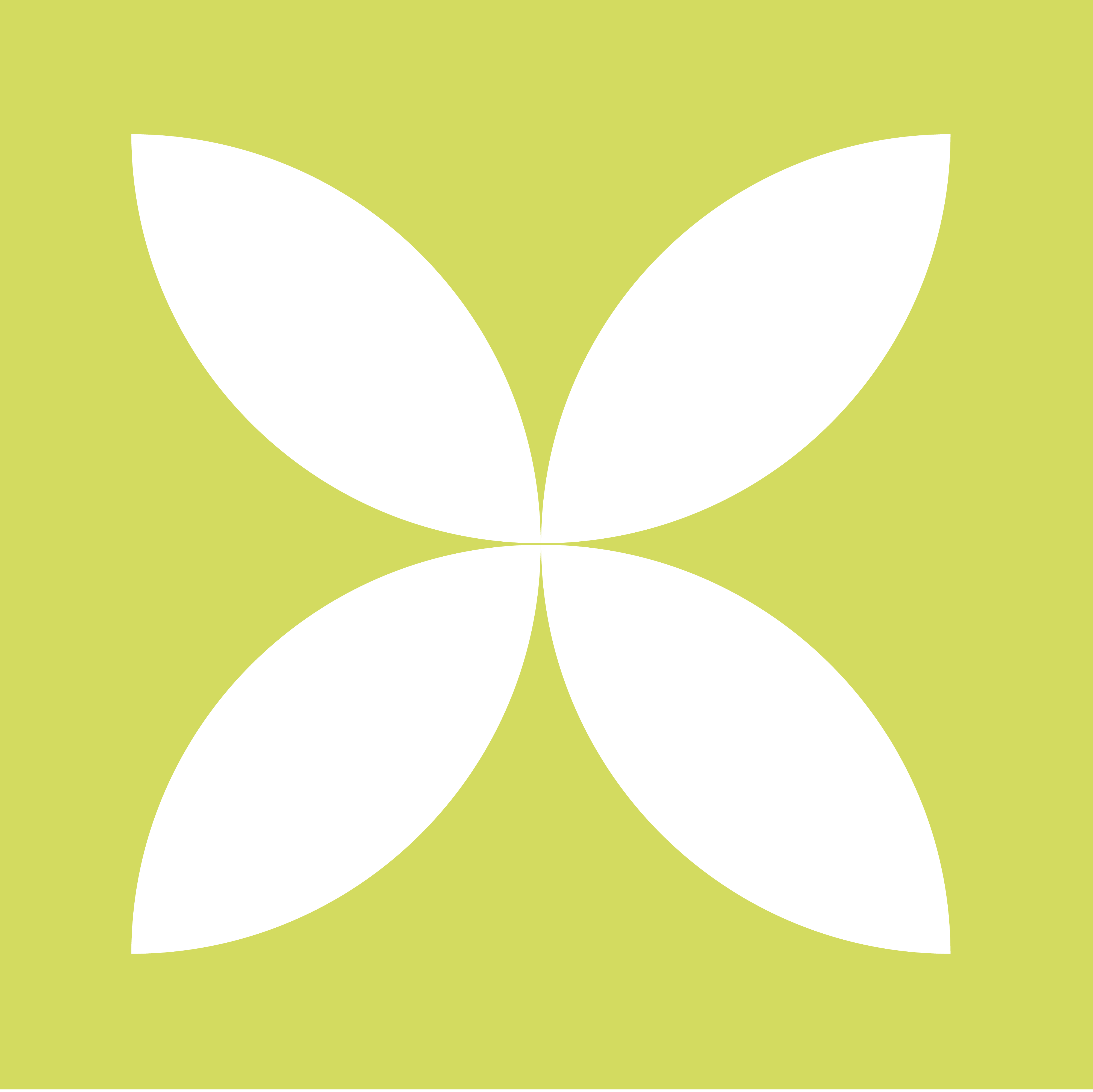 Light green abstract icon to represent focus area for Racial Equity
